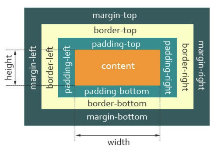 box model